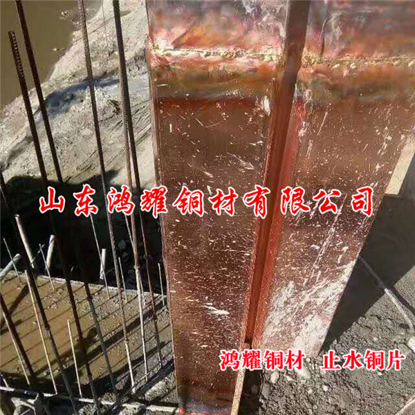 紫铜止水带