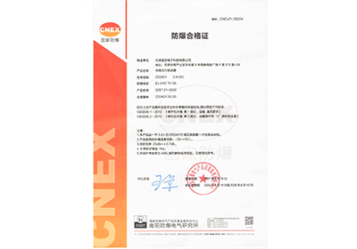 <span>压力表防爆证</span>
