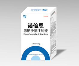 诺倍恩