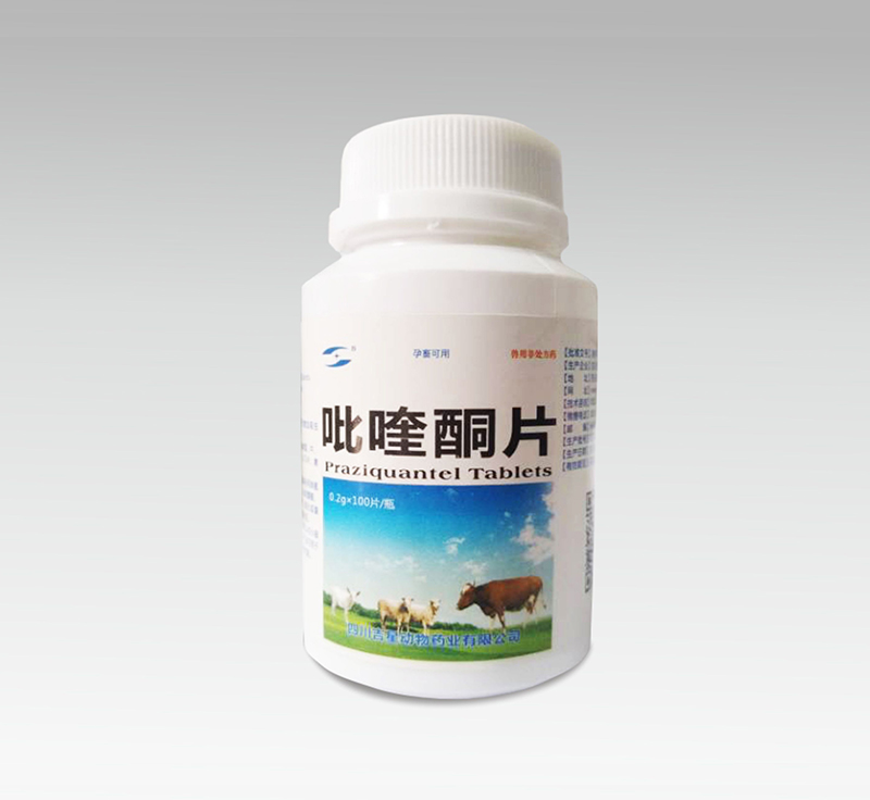 吡喹酮片