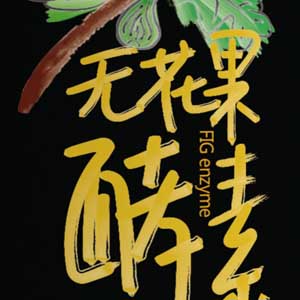习春堂无花果酵素包装设计