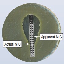 Oxoid M.I.C.E检测条| 抗生素最小抑制浓度检测条| MIC检测条