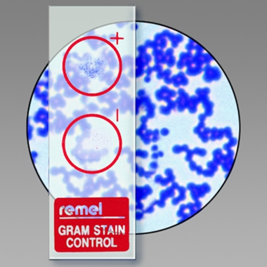 Remel QC-Slide染色质控品 AFB染色质控片R40144，革兰氏染色质控片R40140等