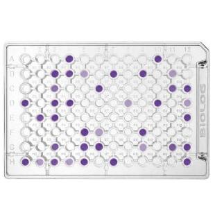 Biolog  ECO MicroPlates ECO生态板 货号1506, ECO板