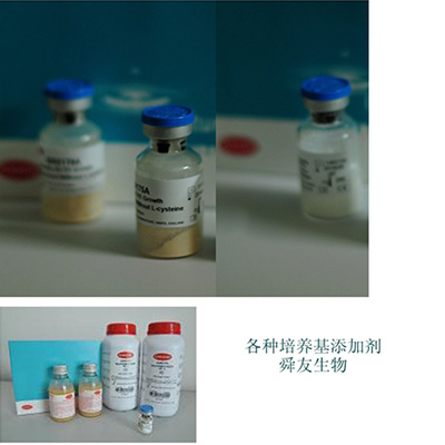 Oxoid 马血清SR0035C 裂解马血SR0048C 脱纤维马血SR0050 脱纤维羊血SR0051B RPF添加剂 SR0122A