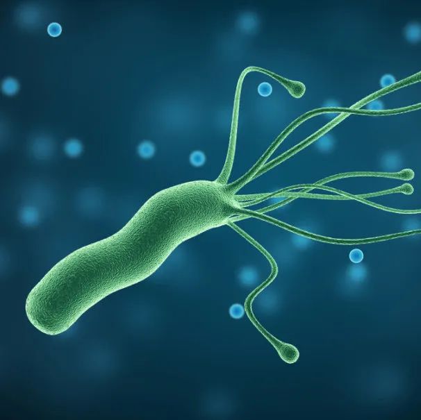  I类致癌物幽门螺旋杆菌：如何预防？