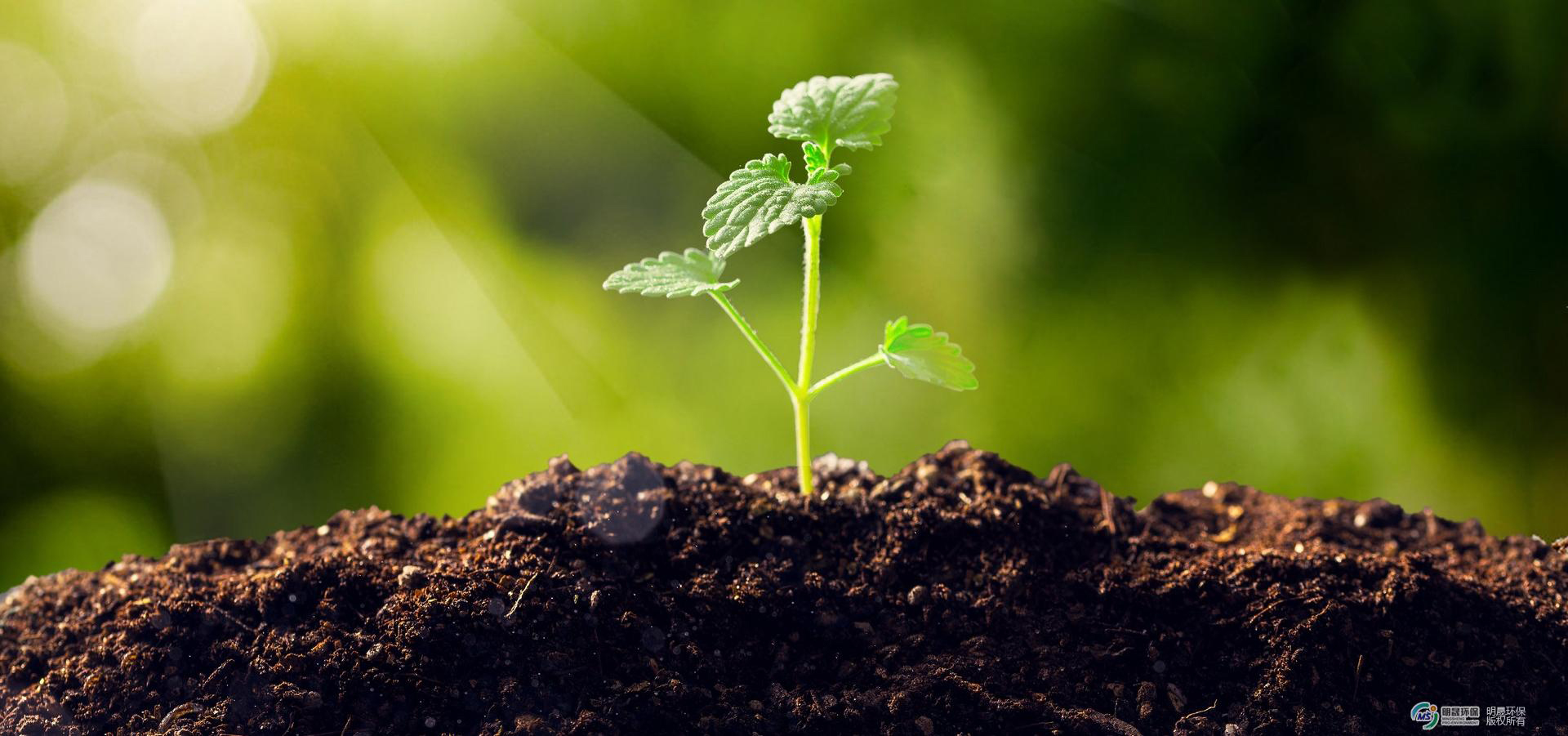 莱力素：发挥综合效用 助推药肥一体化