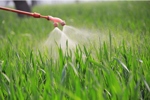 如何绿色安全、可持续地防治植物病虫害？