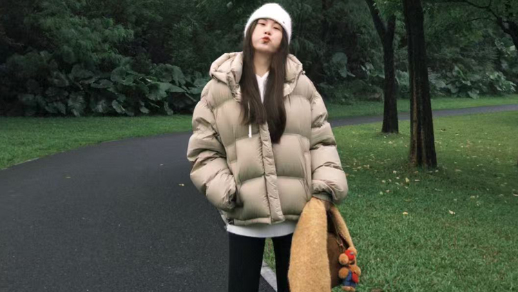 EX-ZENYTH 超轻羽绒/棉服面料