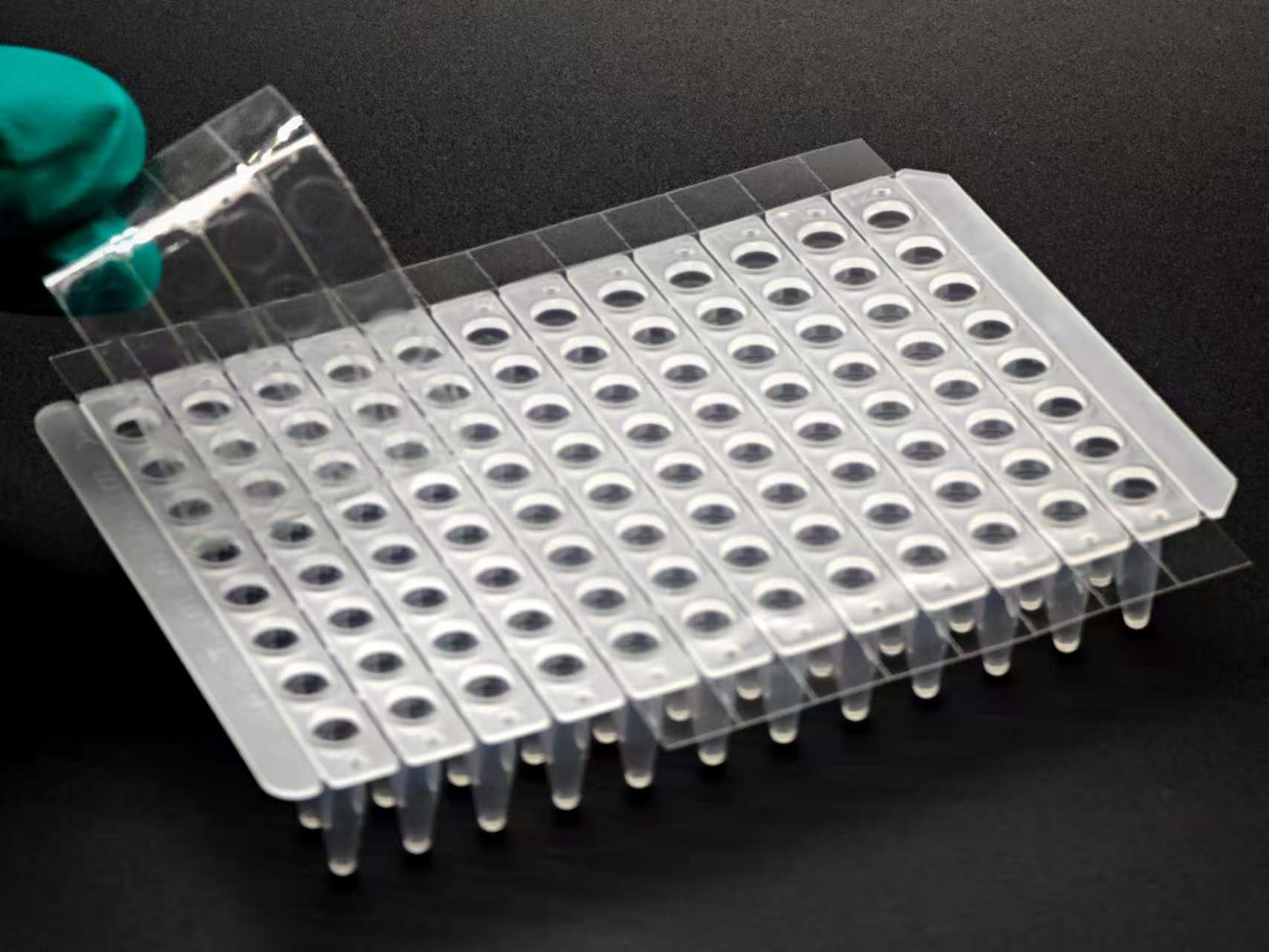 qPCR高粘封板膜 1×12