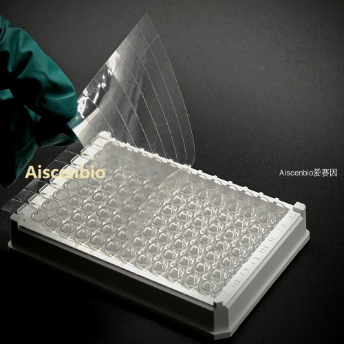 对标4Ti-0500/8 qPCR高粘封板膜 1×12