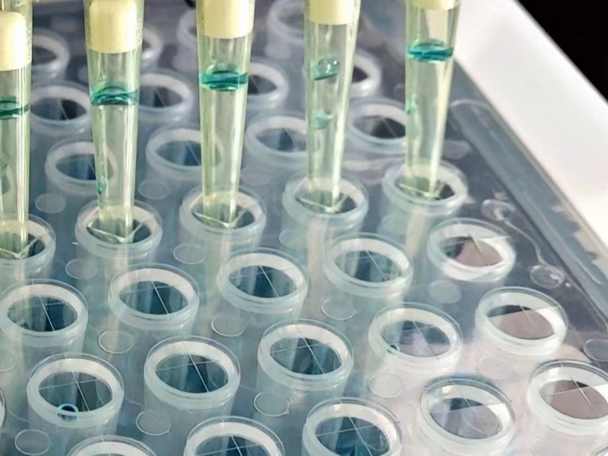 96孔预开孔穿刺膜