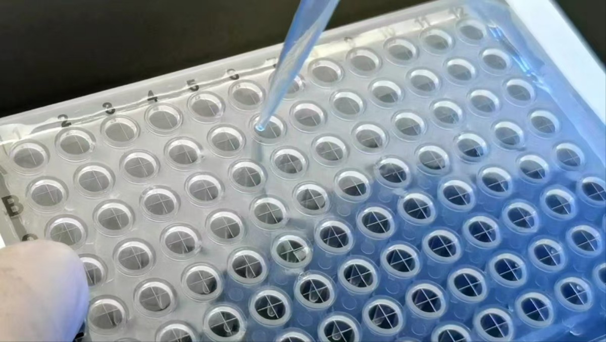 96孔预开孔穿刺膜“+”开口