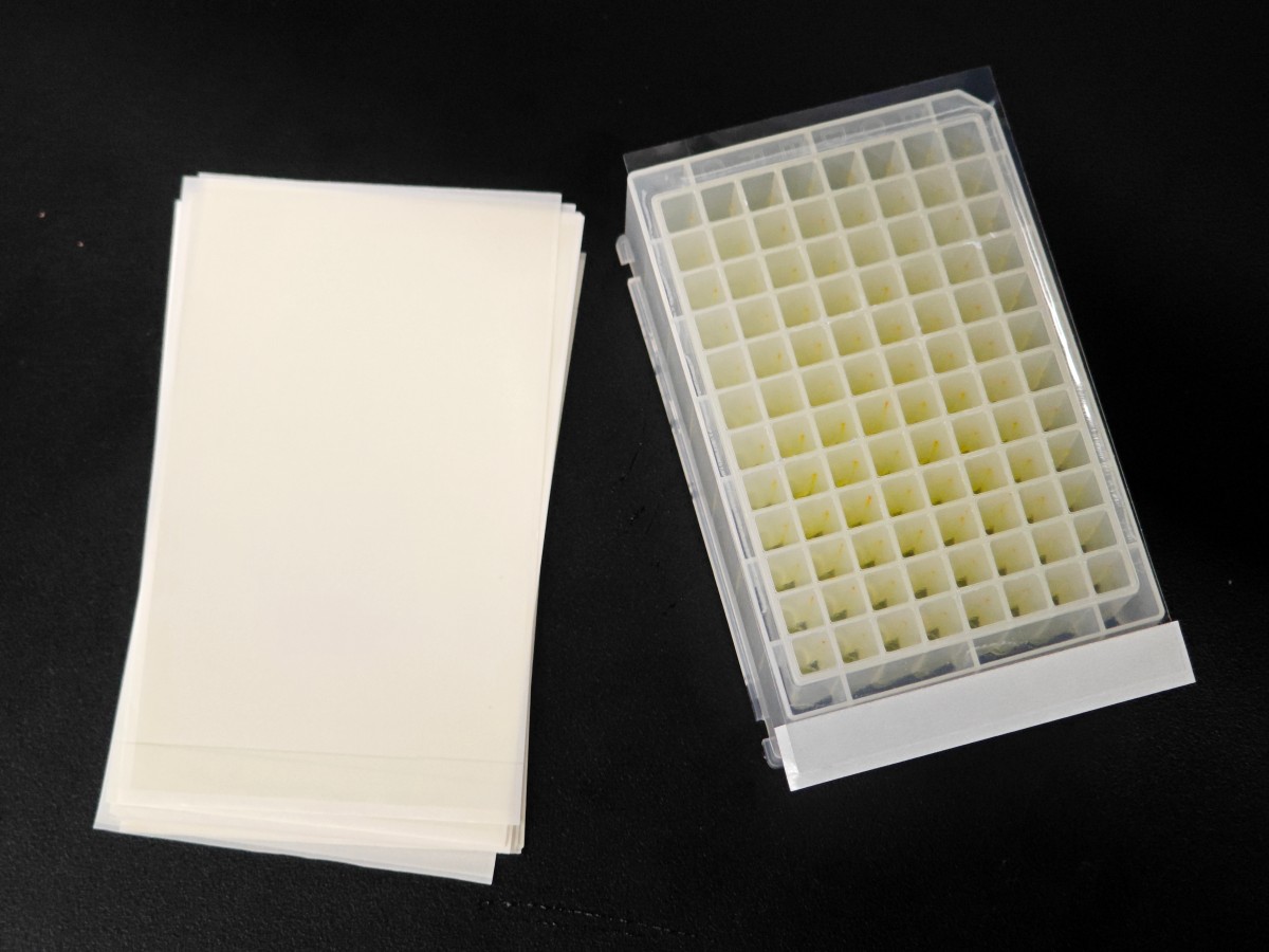 Elisa膜 普通自粘膜