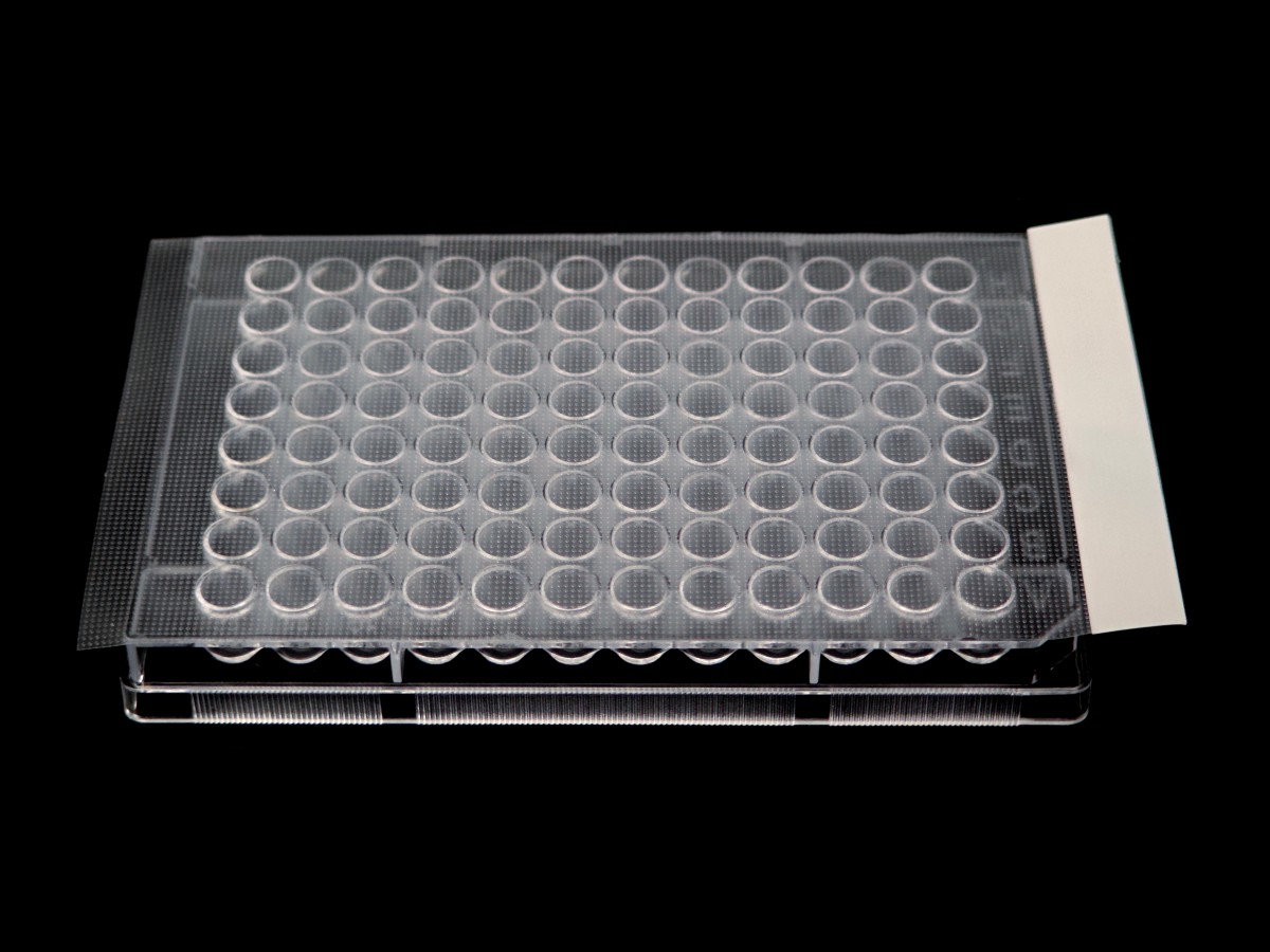 高透气透明封板膜