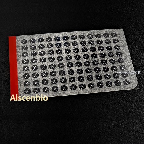 SBS标准孔板膜米字穿刺膜