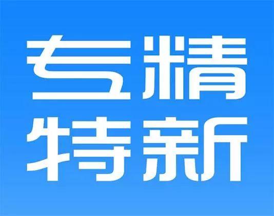 国家专精特新“小巨人”企业