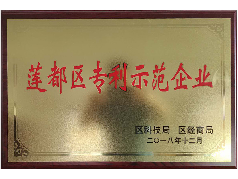 蓮都區(qū)專利示范企業(yè)