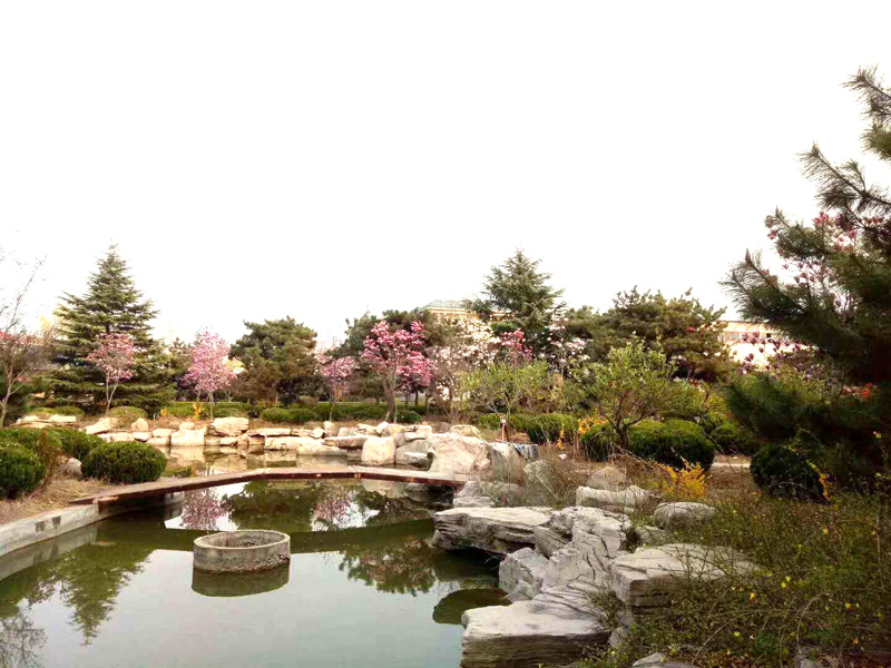 公司风采