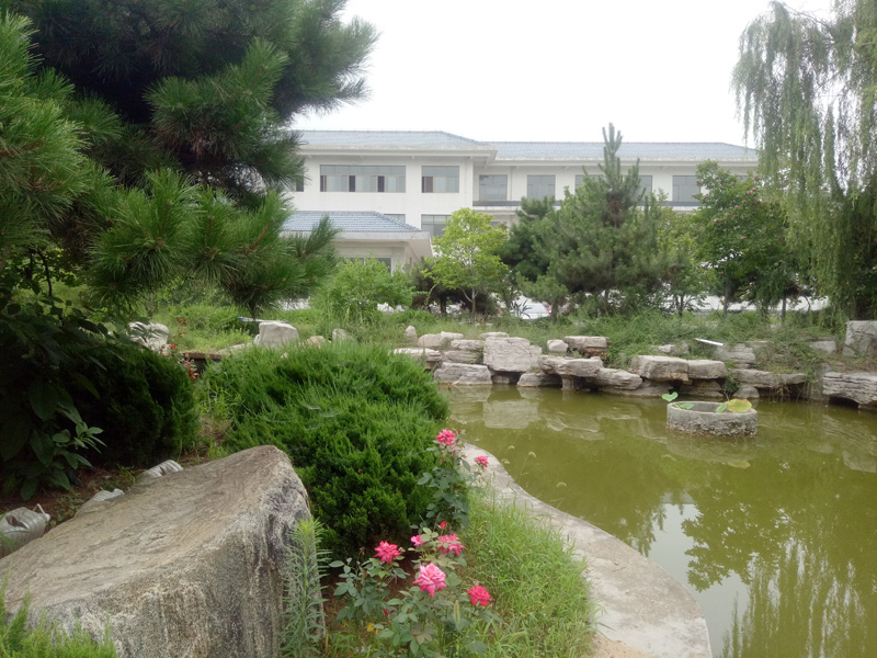 公司风采