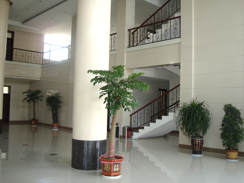 公司风采