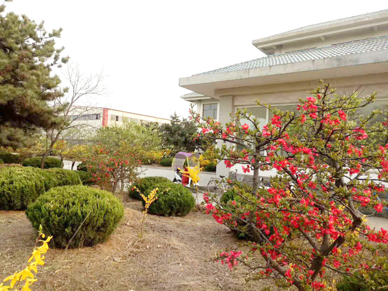 公司风采