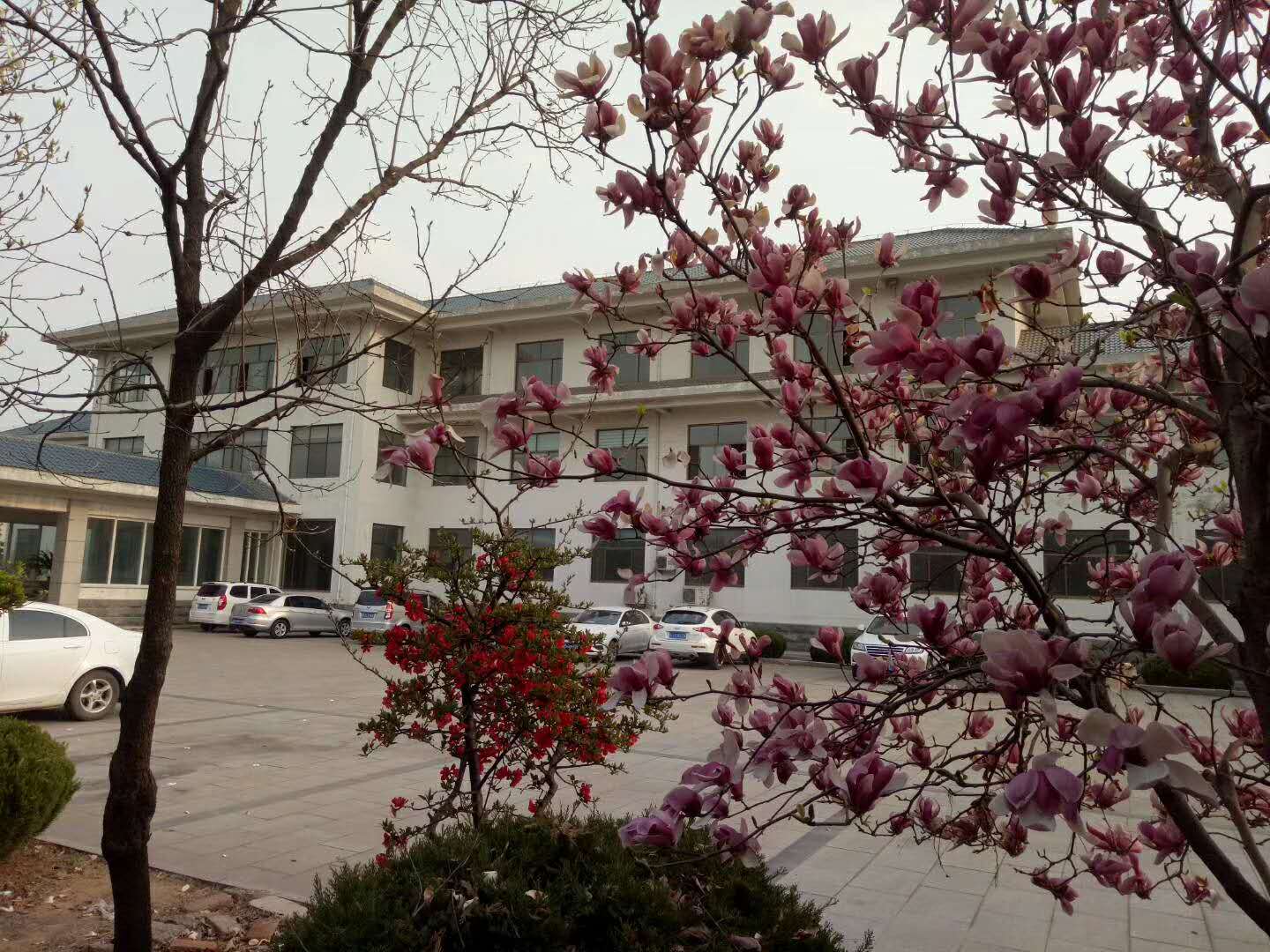 公司风采
