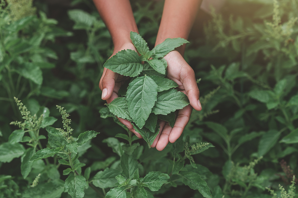 再生塑料有了新标识
