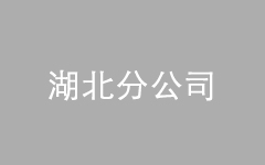 <br />
<div style="text-align:center;">
	<span style="font-family:Microsoft YaHei;font-size:16px;">湖北分公司</span> 
</div>