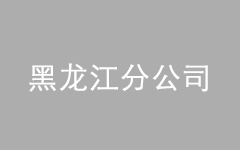 <br />
<div style="text-align:center;">
	<span style="font-size:16px;">黑龙江分公司</span>
</div>