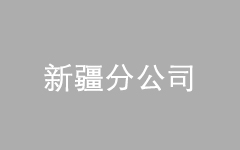 <br />
<div style="text-align:center;">
	<span style="font-size:16px;">新疆分公司</span>
</div>