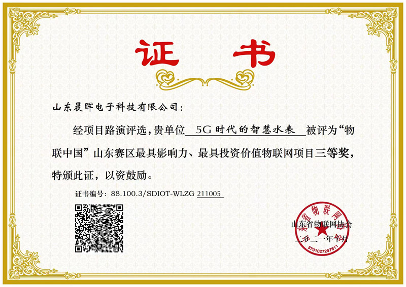 山東省企業(yè)技術(shù)創(chuàng)新獎(jiǎng)證書(shū)