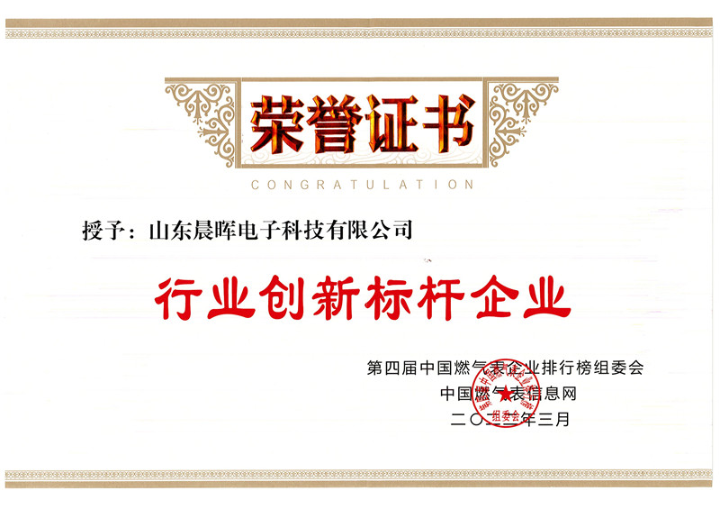 行業(yè)創(chuàng)新標(biāo)桿企業(yè)