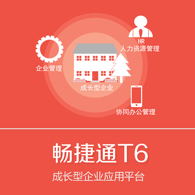 T6系列
