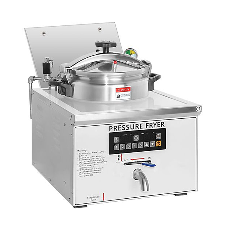 台式压力炸炉 YXDT-16D