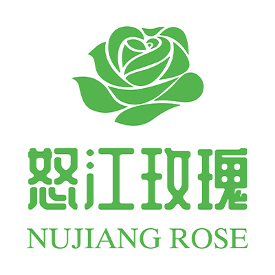 怒江玫瑰