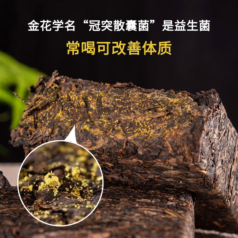 【墨君茯茶】传承1368 / 400g