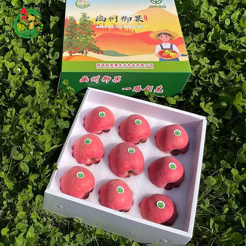 【豳州御果】9枚精品礼盒装 90-95#