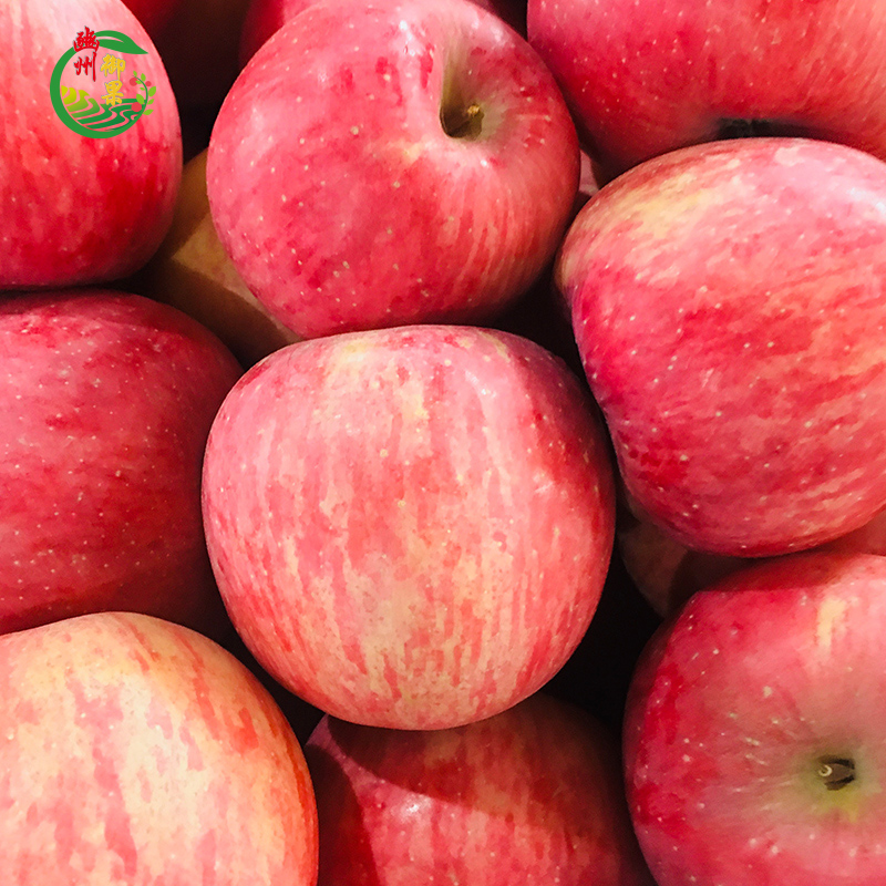 【豳州御果】18枚通版包装 80-85#