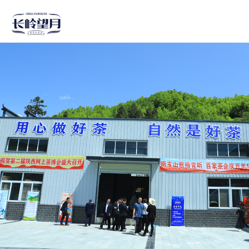 【长岭望月】镇巴毛尖 二级 200克