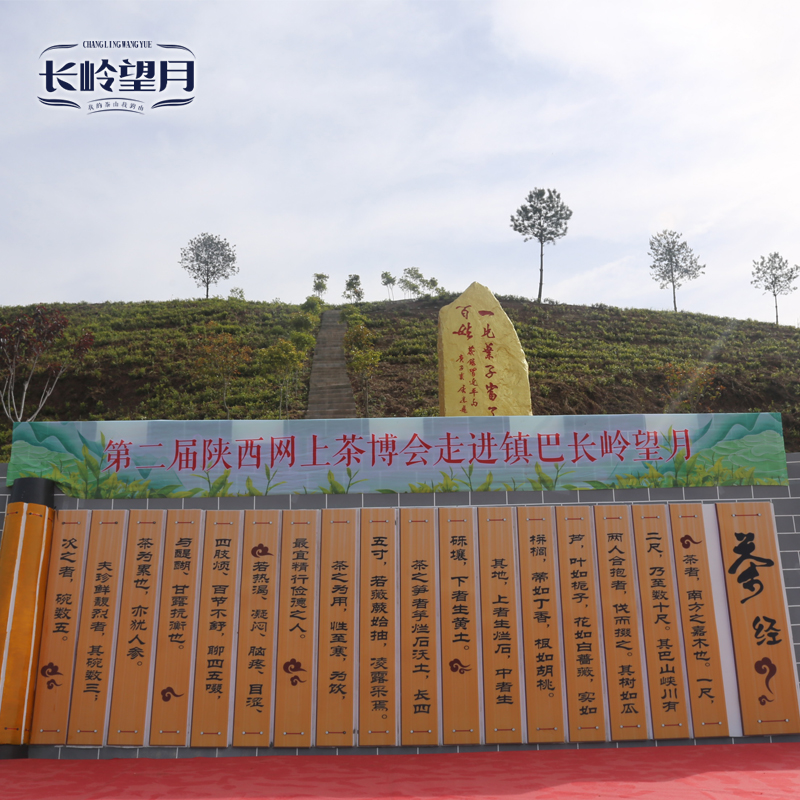 【长岭望月】镇巴毛尖 二级 200克