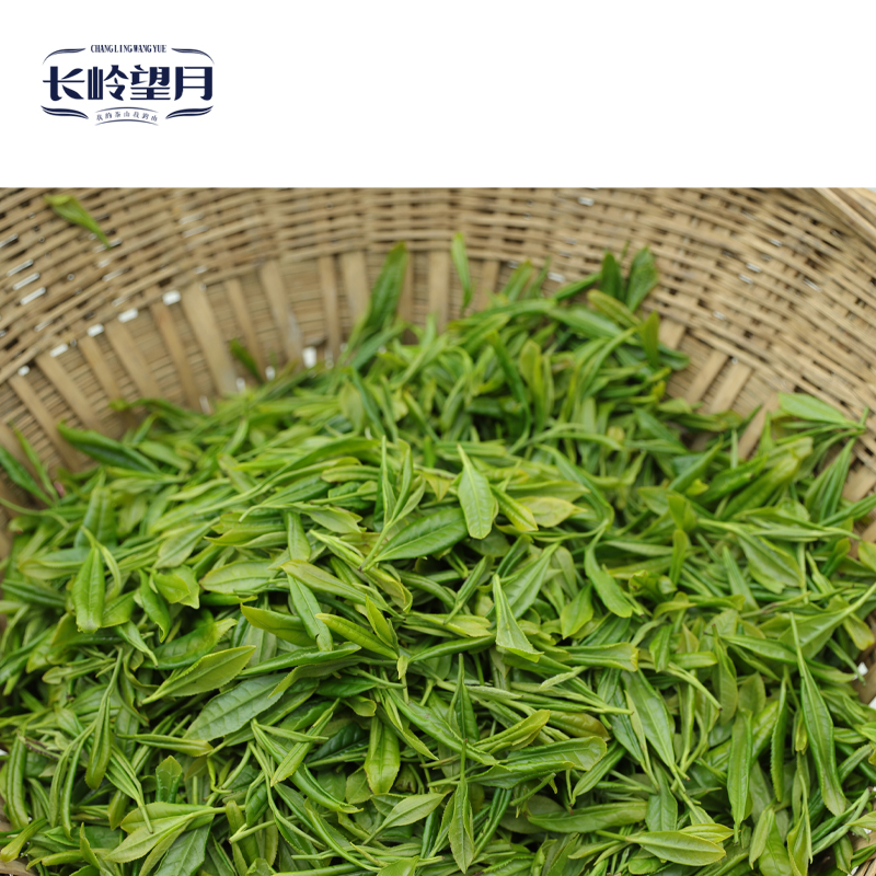 【长岭望月】镇巴毛尖特级 120克