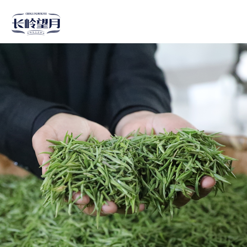 【长岭望月】汉中仙毫特级 120克