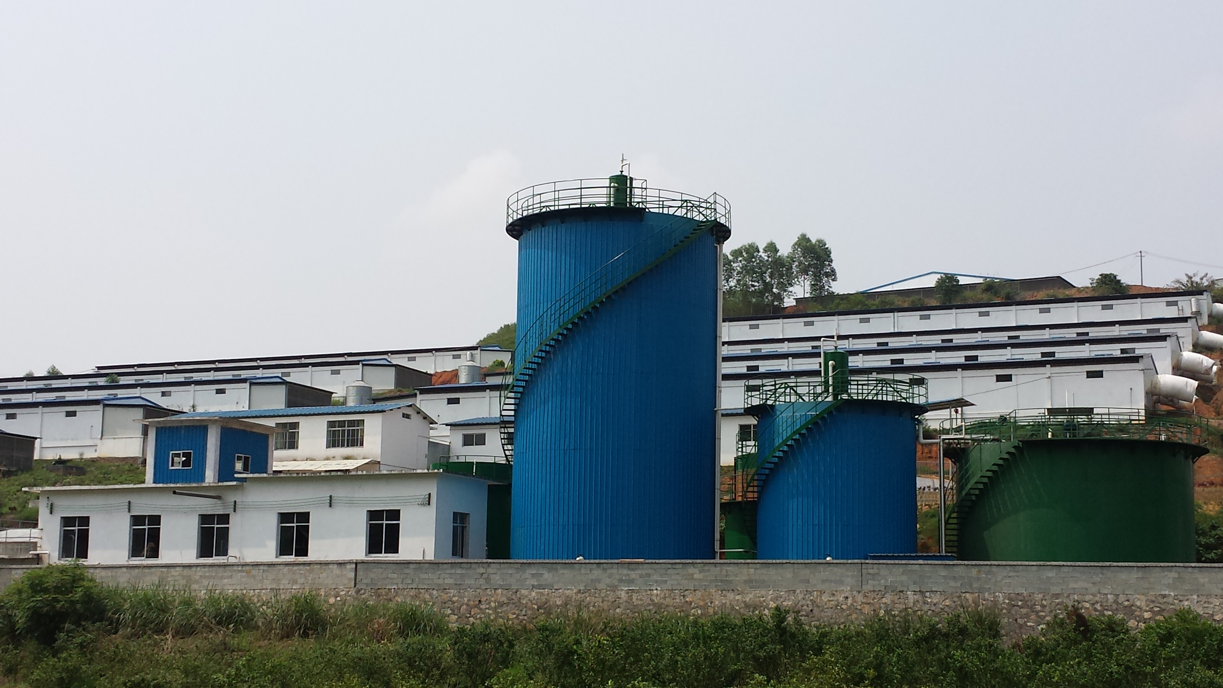 广西农垦永新畜牧有限公司梧州新利猪场