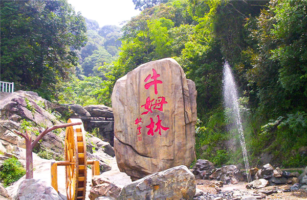 泉州永春牛姆林