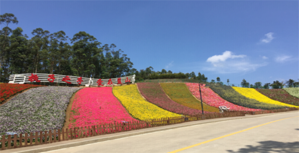 漳州十里蓝山拓展基地