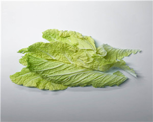 大白菜叶