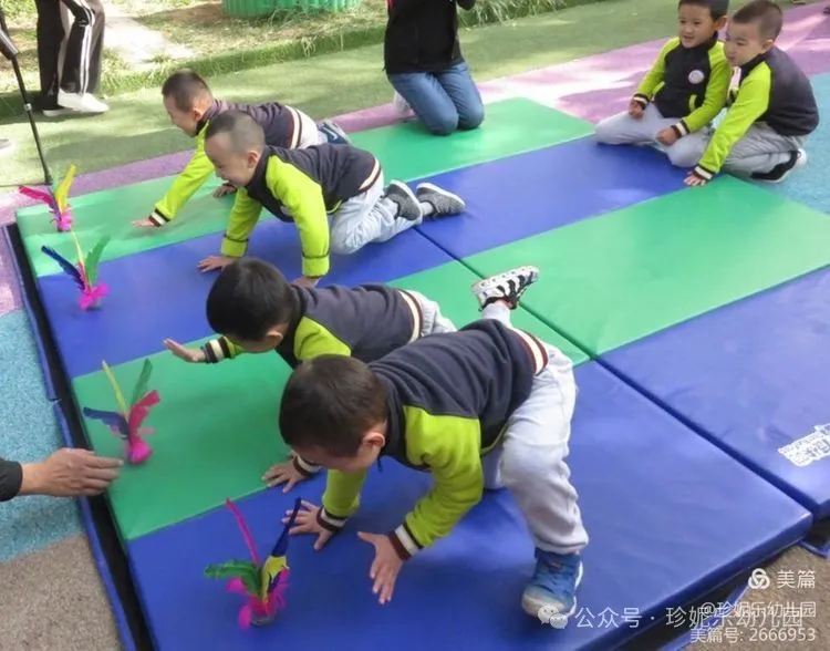 艺术体育特色