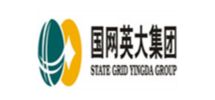 国网英大股份有限公司