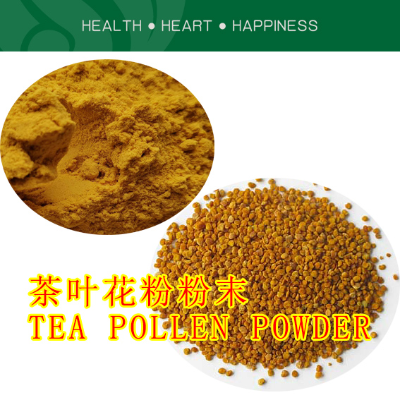 破壁茶叶花粉粉末